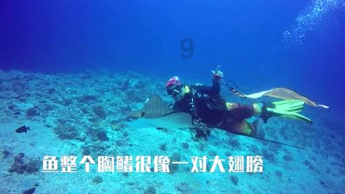 学思想 强党性 重实践 建新功|京嫩“政企科”协同发展,产贸“融储创”共谱新篇